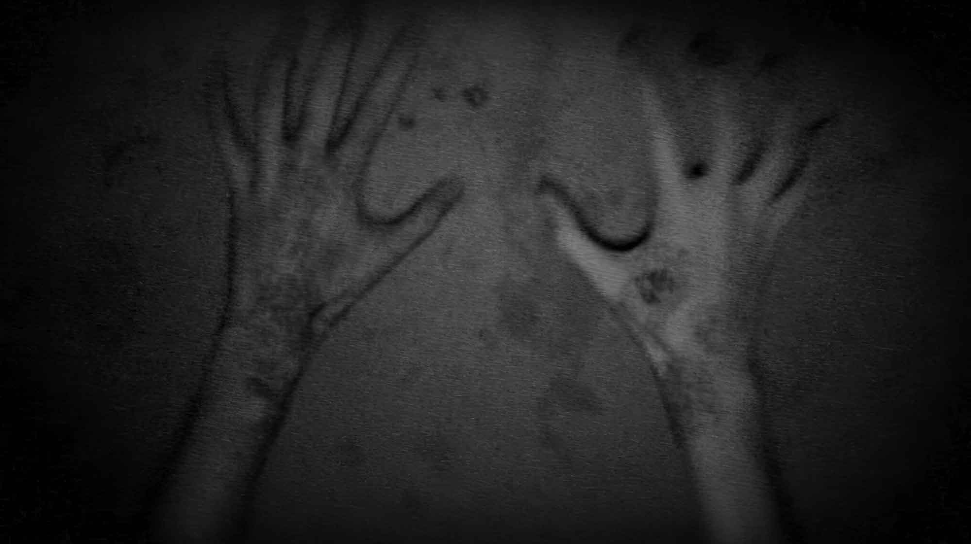 CEDRIC_BLAISBOIS_CORPORATE_OCCULT_TEASER_02